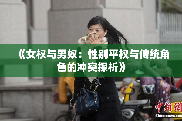 《女权与男奴：性别平权与传统角色的冲突探析》