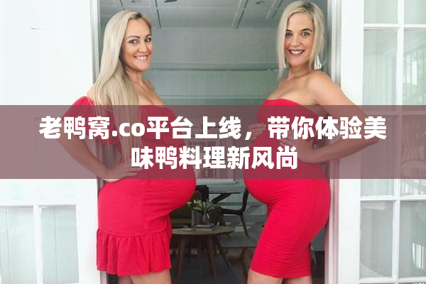 老鸭窝.co平台上线，带你体验美味鸭料理新风尚