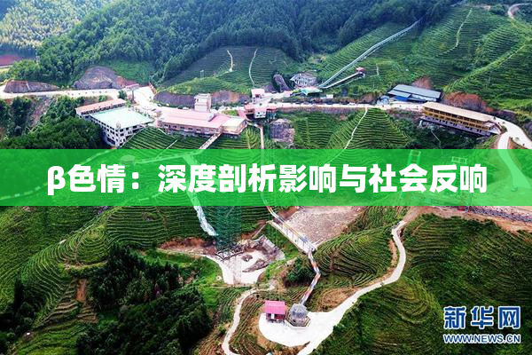 β色情：深度剖析影响与社会反响