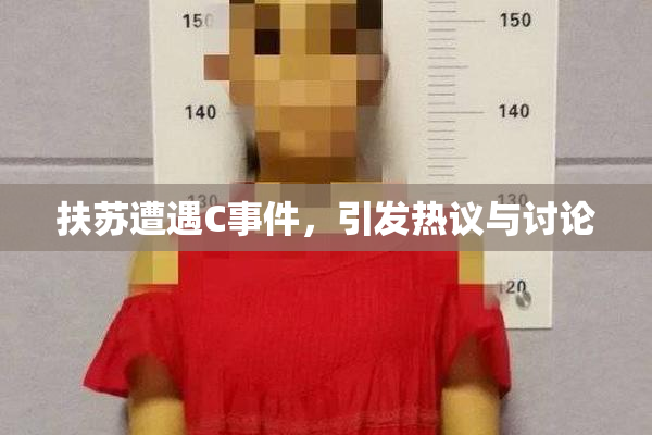 扶苏遭遇C事件，引发热议与讨论