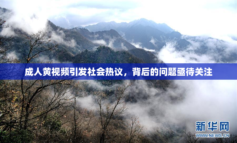 成人黄视频引发社会热议，背后的问题亟待关注