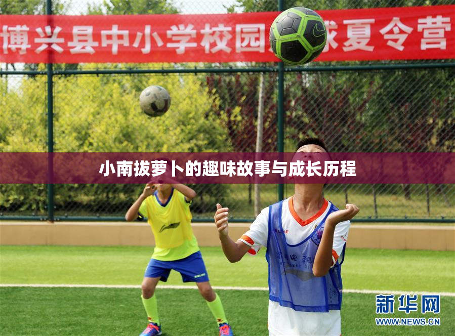 小南拔萝卜的趣味故事与成长历程