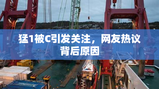 猛1被C引发关注，网友热议背后原因