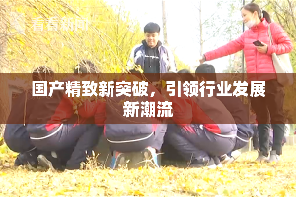 国产精致新突破，引领行业发展新潮流