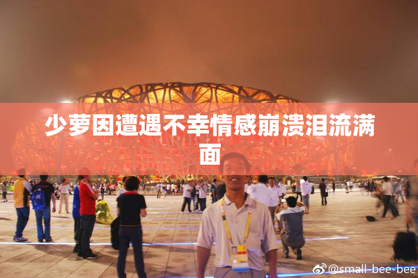 少萝因遭遇不幸情感崩溃泪流满面
