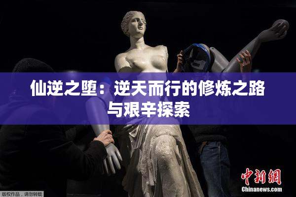 仙逆之堕：逆天而行的修炼之路与艰辛探索