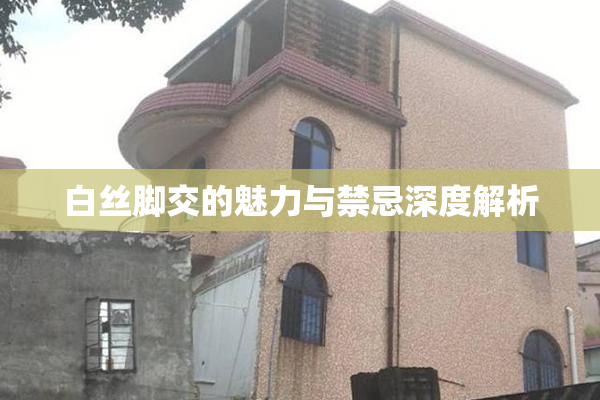 白丝脚交的魅力与禁忌深度解析
