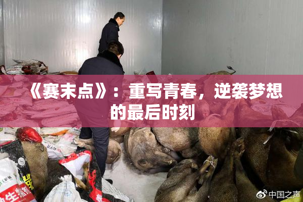《赛末点》：重写青春，逆袭梦想的最后时刻