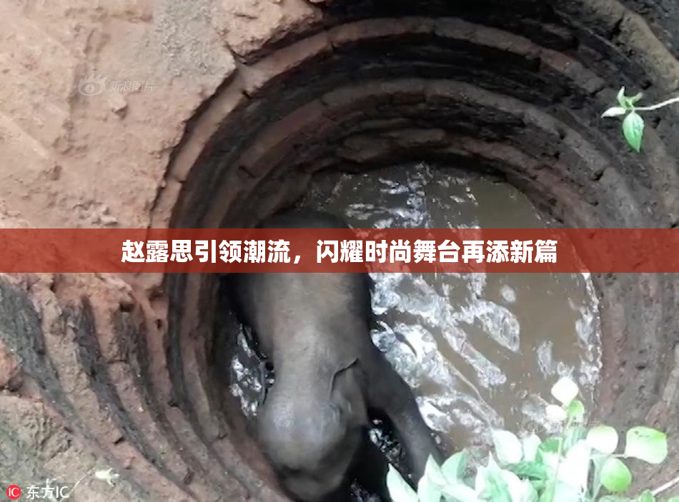 赵露思引领潮流，闪耀时尚舞台再添新篇
