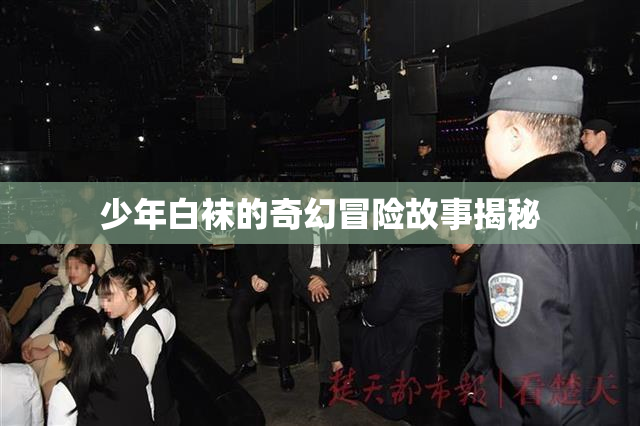 少年白袜的奇幻冒险故事揭秘