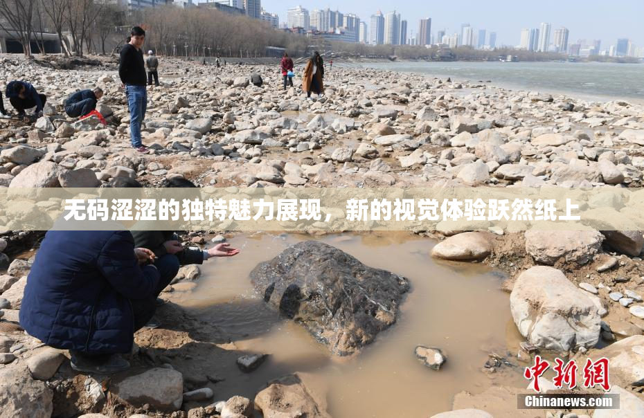 无码涩涩的独特魅力展现，新的视觉体验跃然纸上