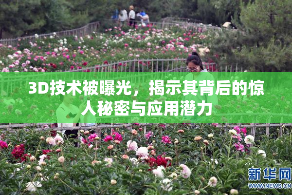 3D技术被曝光，揭示其背后的惊人秘密与应用潜力