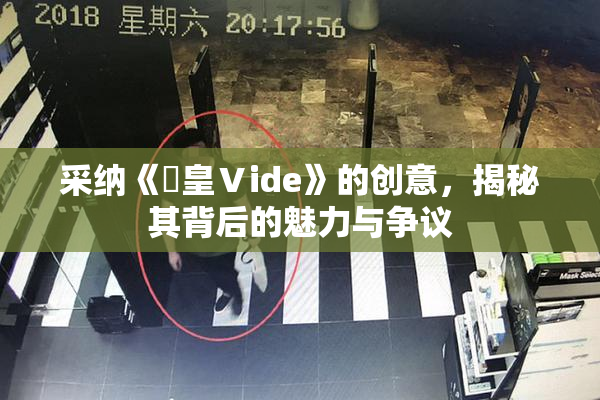 采纳《嘼皇Ⅴide》的创意，揭秘其背后的魅力与争议