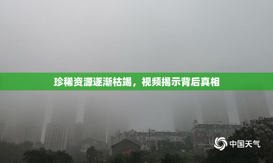 珍稀资源逐渐枯竭，视频揭示背后真相