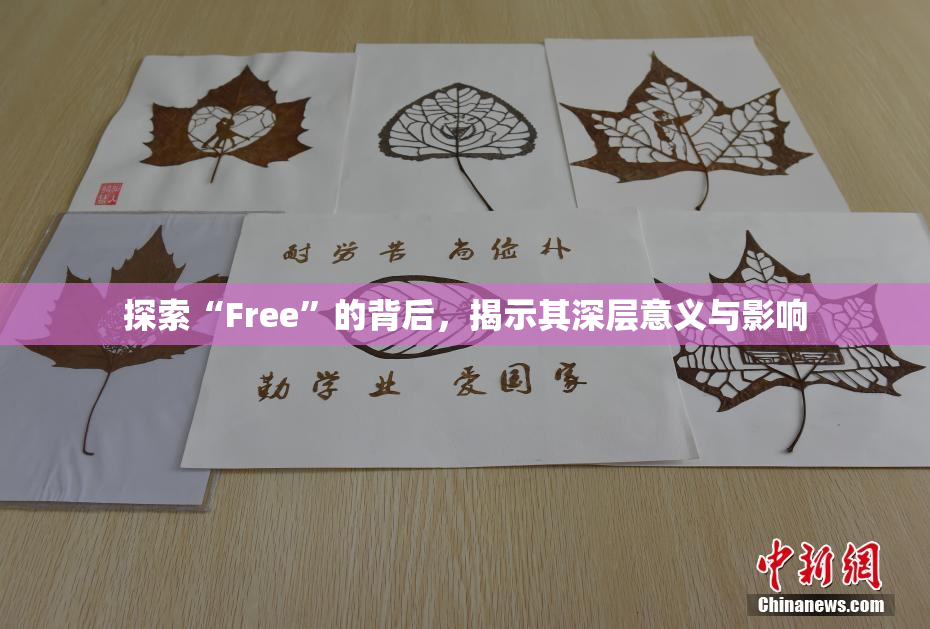探索“Free”的背后，揭示其深层意义与影响