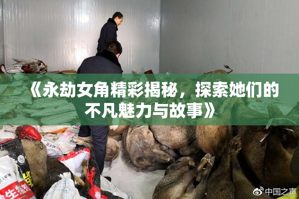 《永劫女角精彩揭秘，探索她们的不凡魅力与故事》