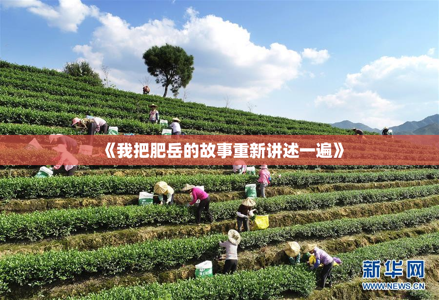《我把肥岳的故事重新讲述一遍》