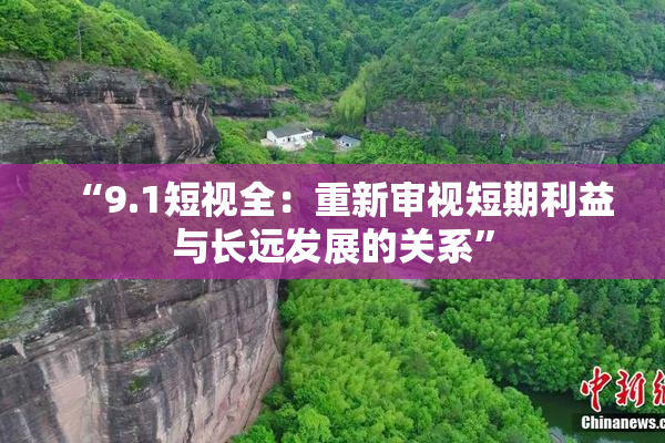 “9.1短视全：重新审视短期利益与长远发展的关系”