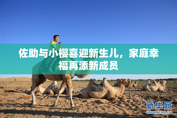佐助与小樱喜迎新生儿，家庭幸福再添新成员