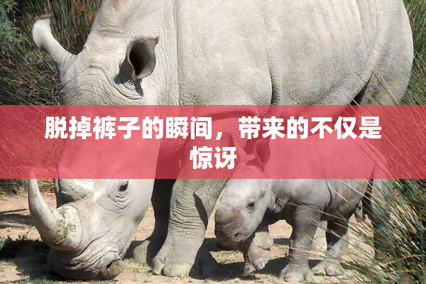 脱掉裤子的瞬间，带来的不仅是惊讶