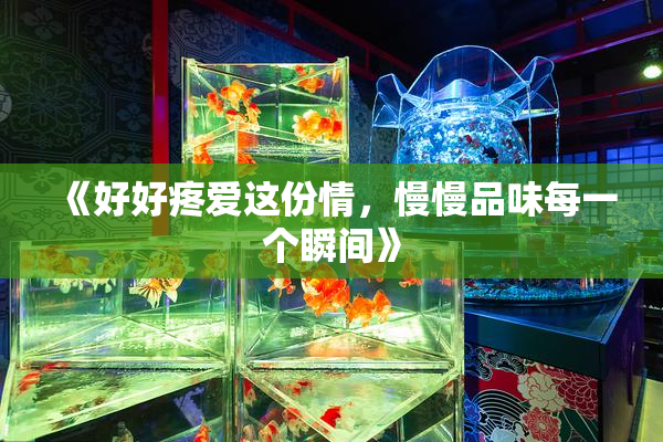 《好好疼爱这份情，慢慢品味每一个瞬间》
