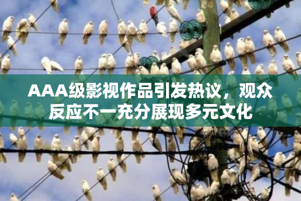 AAA级影视作品引发热议，观众反应不一充分展现多元文化