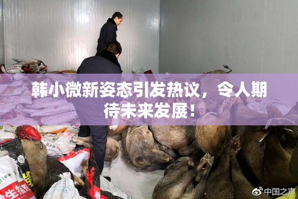韩小微新姿态引发热议，令人期待未来发展！