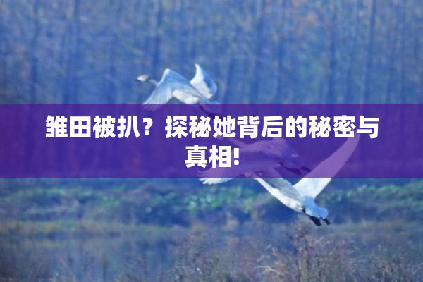 雏田被扒？探秘她背后的秘密与真相!