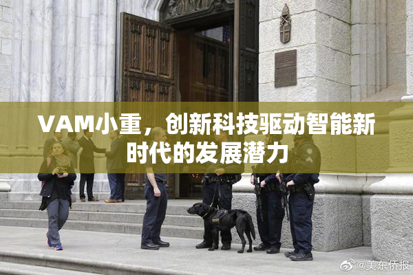 VAM小重，创新科技驱动智能新时代的发展潜力