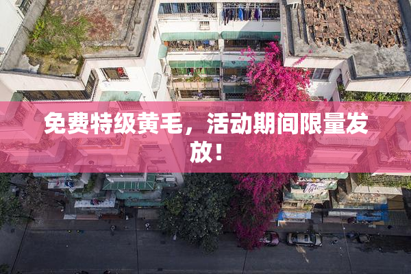 免费特级黄毛，活动期间限量发放！