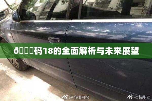 🈚码18的全面解析与未来展望
