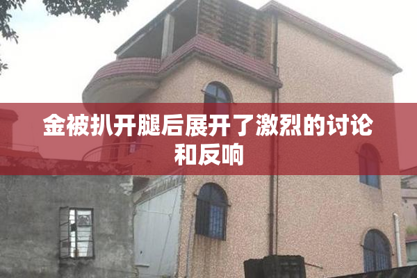 金被扒开腿后展开了激烈的讨论和反响