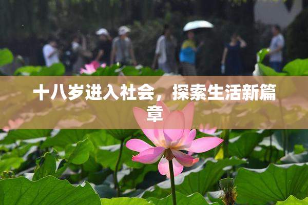 十八岁进入社会，探索生活新篇章