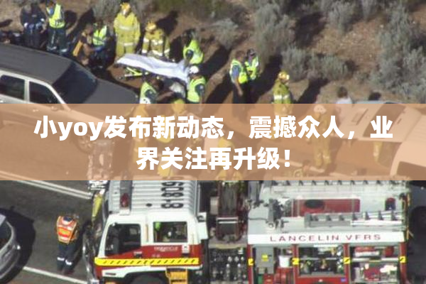 小yoy发布新动态，震撼众人，业界关注再升级！
