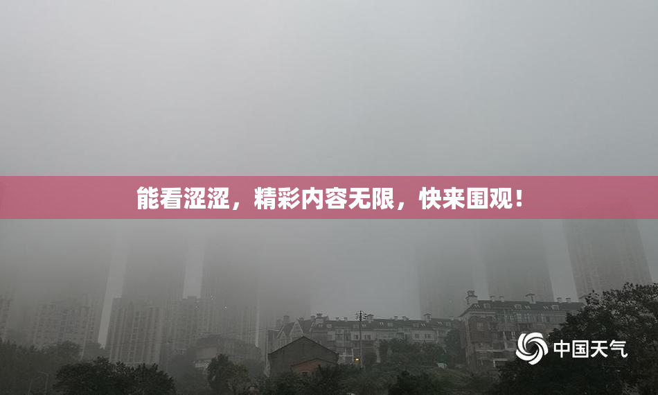 能看涩涩，精彩内容无限，快来围观！