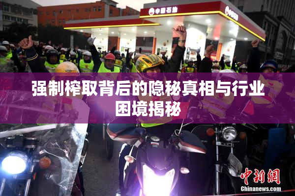 强制榨取背后的隐秘真相与行业困境揭秘