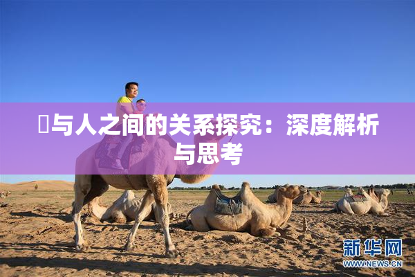 嘼与人之间的关系探究：深度解析与思考