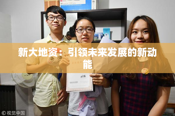 新大地资：引领未来发展的新动能
