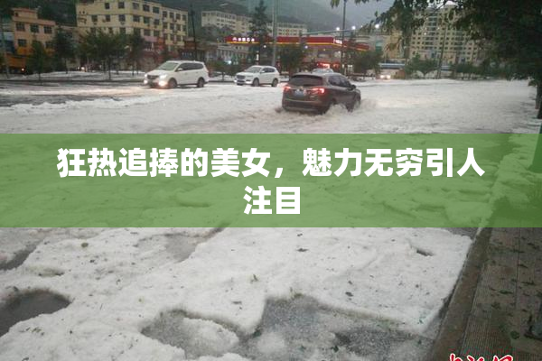 狂热追捧的美女，魅力无穷引人注目