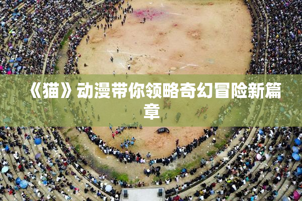 《猫》动漫带你领略奇幻冒险新篇章