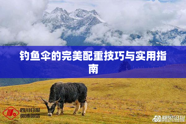 钓鱼伞的完美配重技巧与实用指南