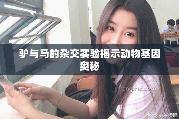 驴与马的杂交实验揭示动物基因奥秘