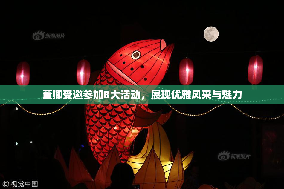 董卿受邀参加B大活动，展现优雅风采与魅力