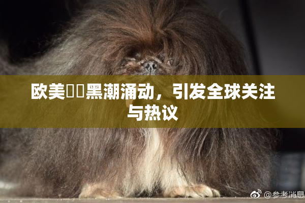 欧美❌‌黑潮涌动，引发全球关注与热议
