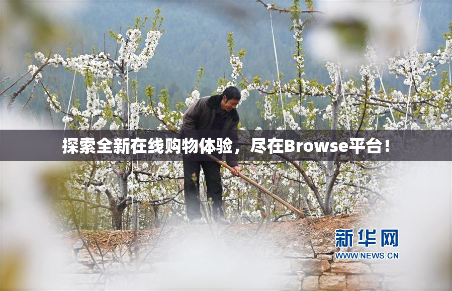 探索全新在线购物体验，尽在Browse平台！
