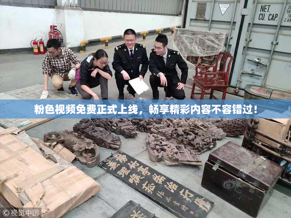 粉色视频免费正式上线，畅享精彩内容不容错过！