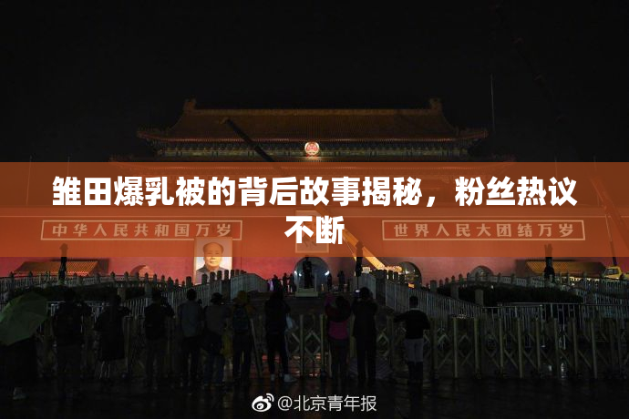雏田爆乳被的背后故事揭秘，粉丝热议不断