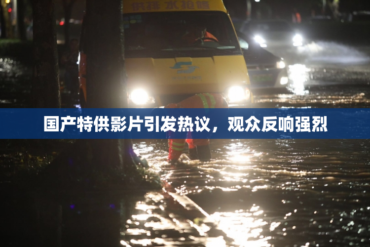 国产特供影片引发热议，观众反响强烈