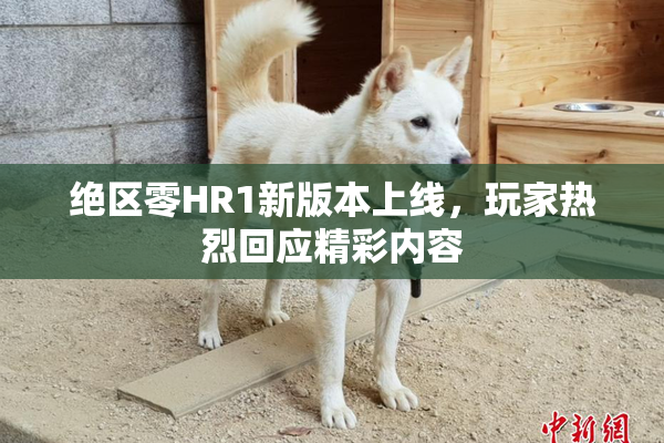 绝区零HR1新版本上线，玩家热烈回应精彩内容