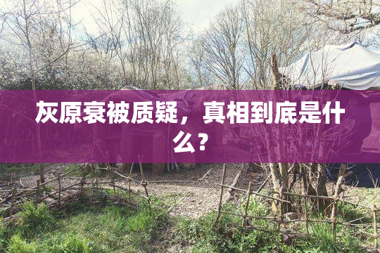 灰原衰被质疑，真相到底是什么？